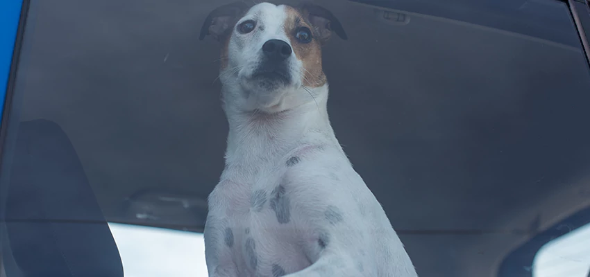 Car Lockout Solutions in Dublin, California